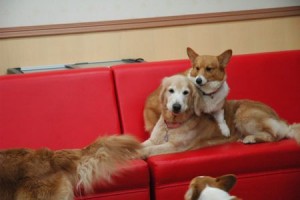 1380944026-889608584