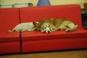 1380944027-1657107059