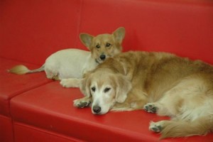 1380944027-487496831