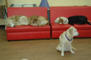 1380944028-1599622808