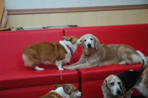 1380944028-4154238983