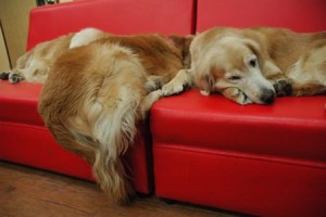 1380944028-710055055