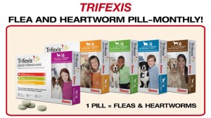 26-heartworm-TRIFEXIS-copy