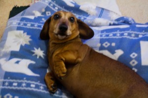 6332322558_d31e573eab_z