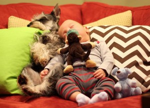 8165527896_56cbba9d44_z