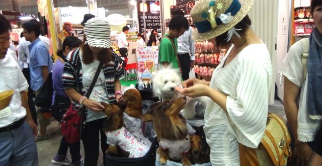 2014年東京寵物展