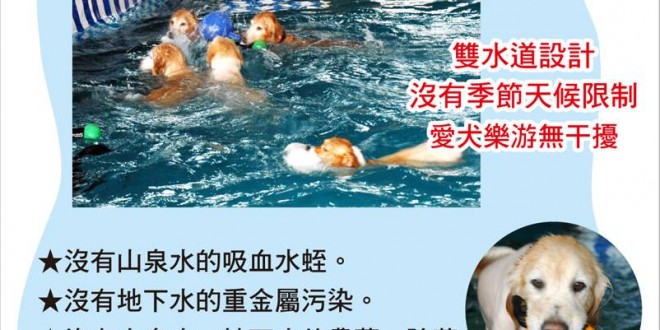 1176147_350324138435772_1561132738_n