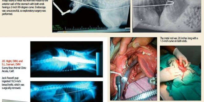 541377_628762657144750_1500312627_n