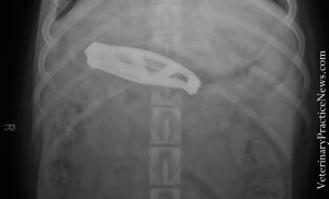 xray-knife(3)