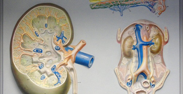 3834534_722842d85a_z