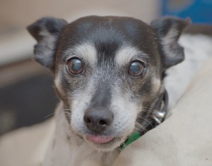 5603116875_6b3f80492f_z