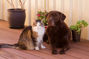 6913971636_b3f0bf40a5_z