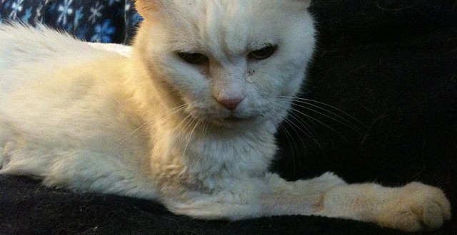 8164277043_d2108f150c_z