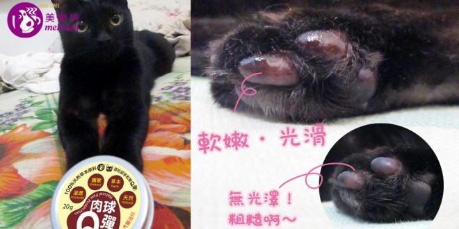 肉球Q彈霜_FB_咖B