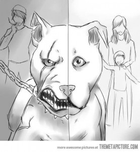 1466057_830853926935621_8547571266378093937_n