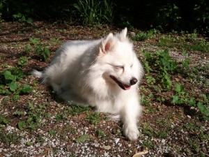 5717346170_7a8671c7e4_z