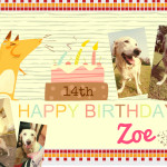 Zoe14thbbday