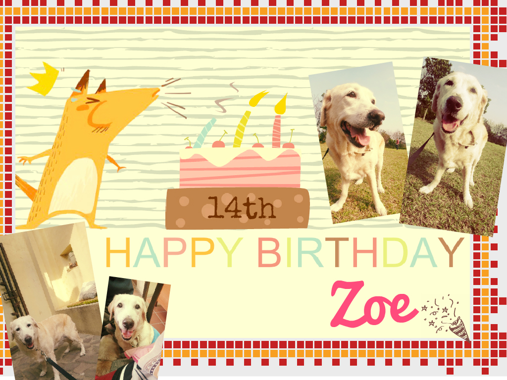 Zoe14thbbday