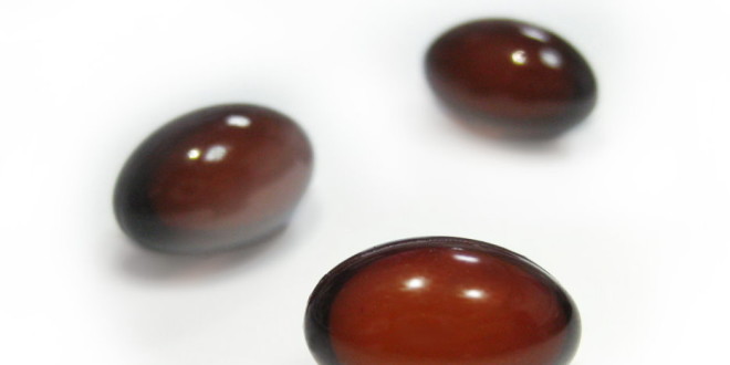 方-高濃縮魚�’3