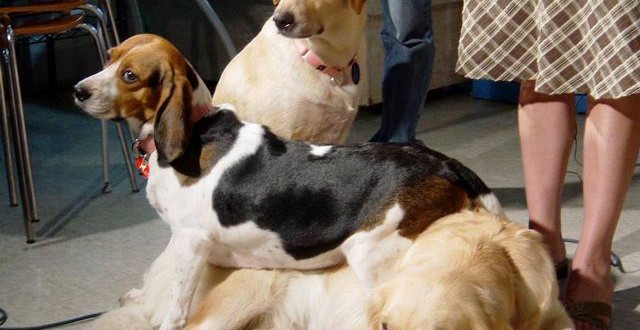 三姐妹回家之路