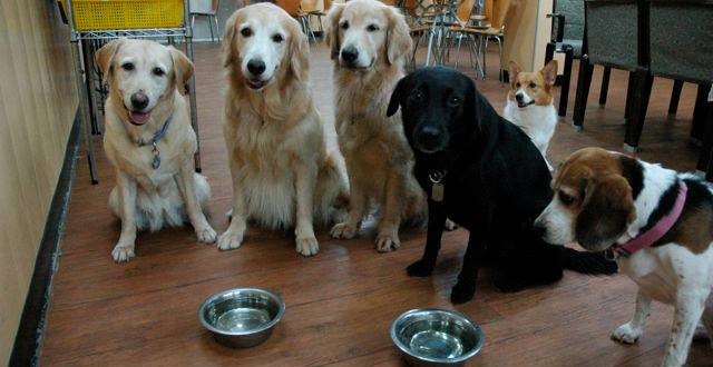 10929551_1108768992472715_364415539129236171_n