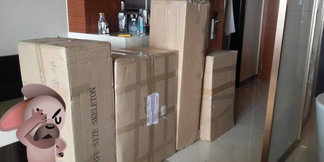 11951967_10204374630824195_4635829031167819458_n