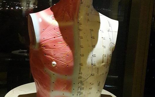 11953227_10204371850674693_3813889074038363563_n