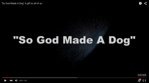 螢幕快照 2015-09-19 上午11.20.04