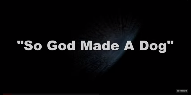 So God Made A Dog上帝為什麼創造了狗？