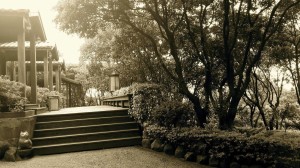 11165054_10203757601718853_2555367066364242422_o