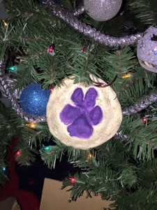 12345478_10208132506741455_5805274845128620282_n