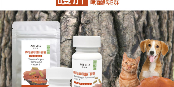 [Banner]201802_椰子油7入10ml&500ml