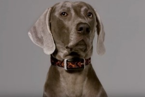 16586-798415deaf4ed3f961900ab51a785b8f