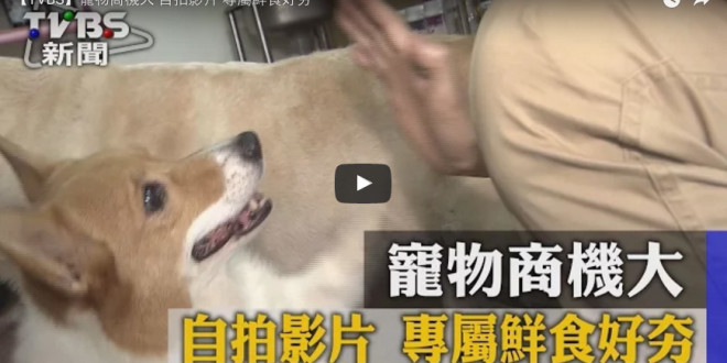 TVBS新聞採訪美樂狗、妙樂貓專業寵物鮮食