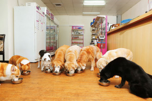 article-57ba739eb32bc