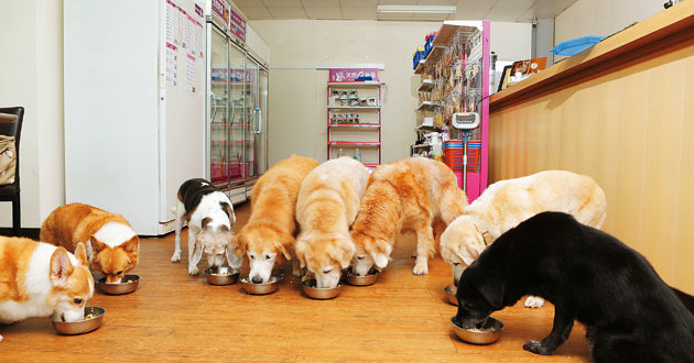 article-57ba739eb32bc