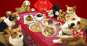 2016HappyNewYear_web