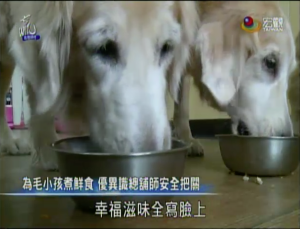 螢幕快照 2017-01-03 下午9.25.39