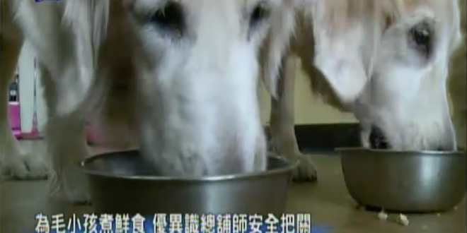 螢幕快照 2017-01-03 下午9.25.39