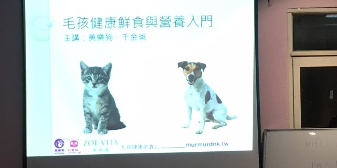 13641055_10206070339895862_5413637065921691132_o