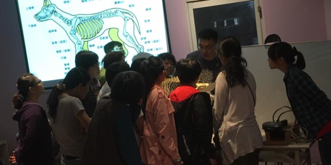 14462943_988363071272119_1484103535622870930_n