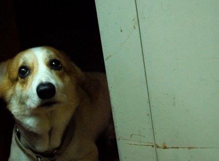 13413161_488571938017568_5997095141351063445_n