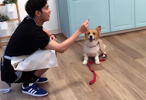 18893099_634024760138951_1837302098712150540_n