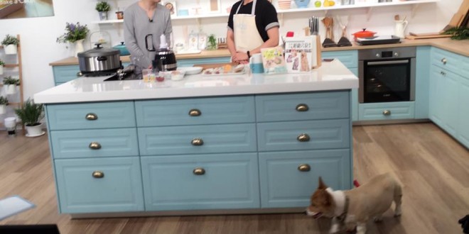 18951319_634024860138941_2038078107256213076_n