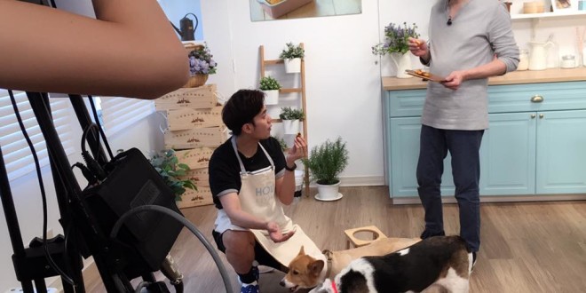 18952847_634024796805614_5235660291834525221_n