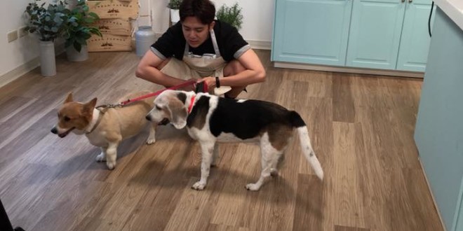 19029447_634024826805611_2990136596834200909_n