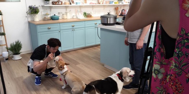 19030686_634024823472278_8706931689080239682_n