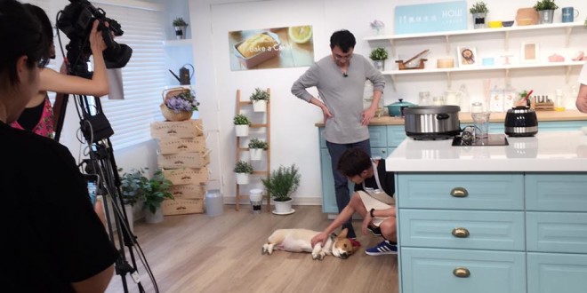 19059848_634024913472269_5846031353657645650_n