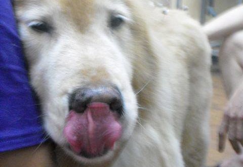 10624820_845336338820713_4470920146897625345_n