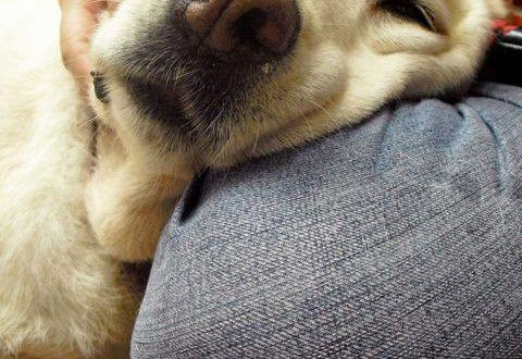 1069238_596527573701592_1857155900_n